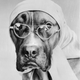 Illustration for article titled Vintage Photos Reveal Century-Long Obession with Dressing Up Pets